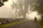 Vers la lumière au-delà du brouillard (photo prise à St-Augustin)
