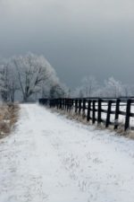 Quand la route est plus claire que la destination (photo prise à Neuville)