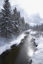 Neige printanière (photo prise à St-Léonard)