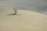 Sérénité printanière (photo prise en Toscane, Italie)